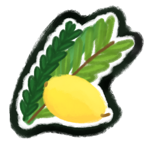 a bundle of leaves (myrtle, willow, and date palm) in shades of green are tucked behind a yellow etrog (citrus fruit).